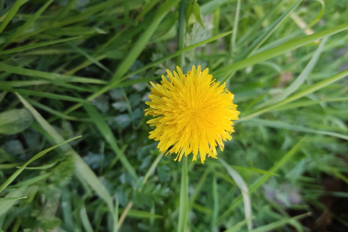 Doğa fotoğraları