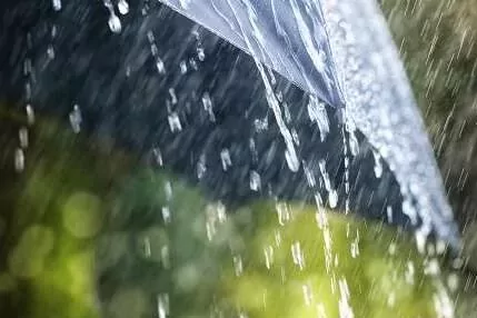 Meteoroloji’den 3 il için kuvvetli yağış uyarısı 5 Ekim 2026 Pazartesi